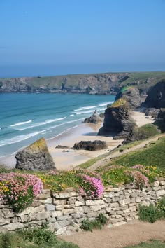 a sandy beach next to the ocean with flowers growing on it