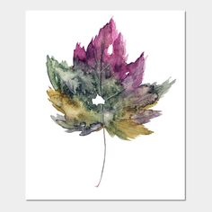 a watercolor painting of a leaf with purple and green leaves on the top, against a white background