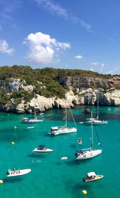 many small boats are in the clear blue water