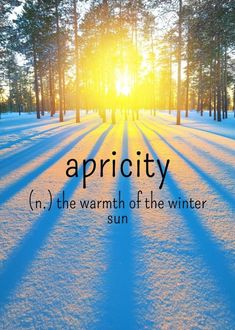 the sun shining through trees and snow with text that reads, aprity in the warmth of the winter