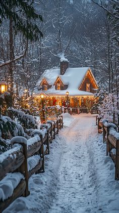 a snowy path leading to a house with christmas lights on the roof and trees covered in snow