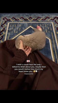 a cat laying on top of a rug next to a person's hand holding it