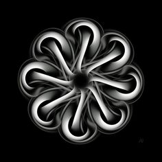 an abstract black and white flower on a black background