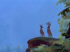 two deer standing on top of a hill next to trees