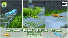 an animated reptiles - iguanas game is shown in three different stages