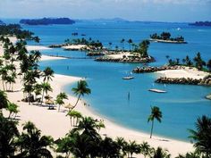 an aerial view of a beach with palm trees and boats in the water near shore