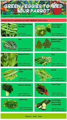 green veggies to feed your parrot are shown in this chart with the names