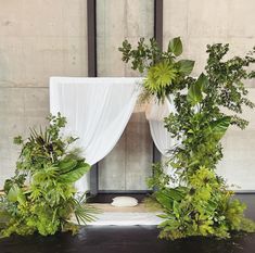 an arrangement of greenery is displayed in front of a white curtain