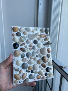 a hand holding up a small tile with shells on it's back and sides