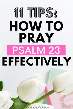 Praying the 23rd Psalm 23 Meaning, The 23rd Psalm, Prayer For Our Country, 23rd Psalm, Psalm 91 Prayer, Prayer Points, Bible Psalms