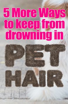 the words pet hair written in front of a dog's head and paw with it's tail sticking out