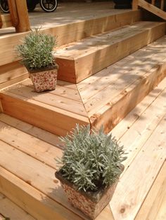 two potted plants sitting on top of wooden steps