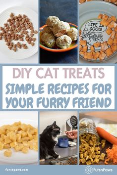 Homemade Cat Treats Recipes Diy Cat Calming Treats, Dry Cat Food Recipe, Pumpkin Cat Treats Recipe, Grain Free Cat Treats, Cat Treat Recipes Homemade, Homemade Cat Treats Recipes Easy, How To Make Cat Treats, Easy Cat Treats