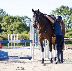 a person standing next to a brown horse