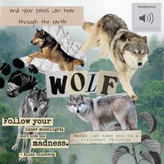 a collage of wolf images with words and pictures on them that say, follow your own path to the wilderness