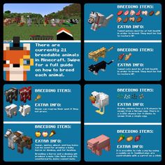 an info sheet describing the different types of minecraft items and how to use them