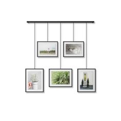 four frames hanging from a metal bar with pictures on it and one has a plant in the middle