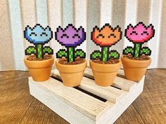 four flower potted plants sitting on top of a wooden pallet