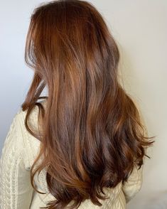 Old Money Auburn Hair, Rust Brown Hair, Auburn Undertone Hair, Dark Natural Auburn Hair, Red Brown Hair Natural, Faded Auburn Hair, Brown Hair Copper Undertone, Auburn Glaze On Brown Hair, Barely Red Hair