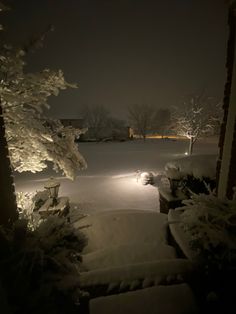 a snowy yard at night with snow on the ground and trees in the foreground