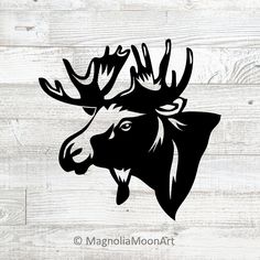 a moose head with antlers on it