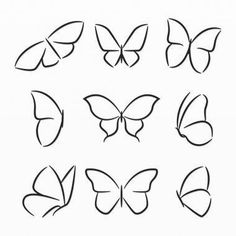 six different types of butterflies drawn in black ink on a white paper with the words, `