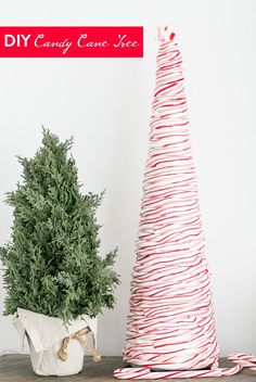 a small christmas tree sitting next to a potted plant on top of a wooden table