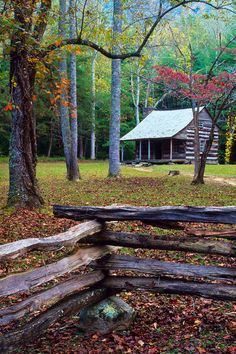 an old log cabin in the woods surrounded by trees and fallen leaves on the ground