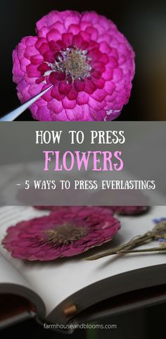 two pictures of pressed flowers How To Press Flowers And Keep The Color, How To Press Flowers At Home, Pressing Fresh Flowers, How To Press Bouquet Flowers, How To Press Hydrangeas, How To Dry Fresh Flowers, How To Dry Zinnia Flowers, How To Press A Bouquet Of Flowers, Pressed Dahlia Flower