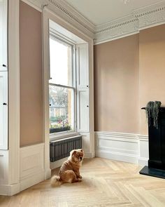 a dog is sitting on the floor in front of a fire place and window,