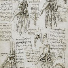 an old book with drawings of hands and fingers