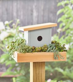 a bird house with moss growing in it