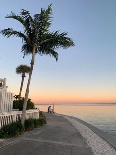 two people sitting on a bench next to the ocean at sunset with palm trees in front of them