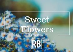 blue and white flowers with the words sweet flowers 5 free presets