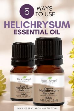 Explore how Helichrysum oil can naturally soothe skin, support digestion, and relieve cold symptoms. A must-have for moms who love using essential oils in their wellness routine! Helichrysum Essential Oil, Helichrysum Italicum, Essential Oils For Kids, Essential Oil Plants