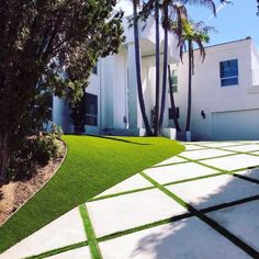 a white house with palm trees in the front yard and walkway leading up to it