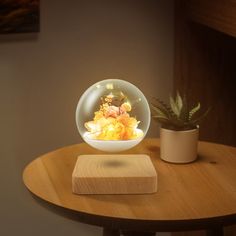 a glass ball with flowers in it sitting on a table next to a potted plant