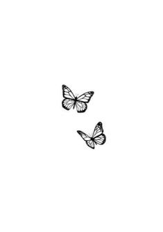 two butterflies flying in the air on a white background, one is drawn with black ink