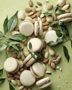 almonds and macaroni shells are arranged on a green surface with leaves around them