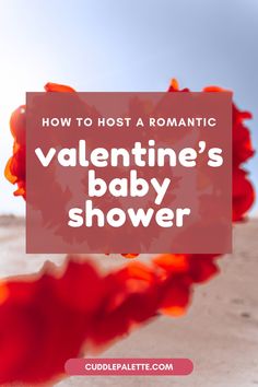 Celebrate love in the most beautiful way with our Romantic Valentine's Baby Shower Guide. From decorating tips, to food and beverage choices, and games, we've got you covered! Create an unforgettable, swoon-worthy event for the expectant parents. Read more on the blog!