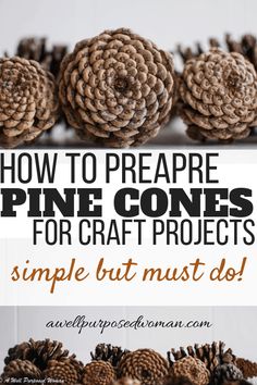 pine cones with text overlay that says how to prepare pine cones for craft projects simple but must do