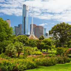 the city skyline is in the distance, with many trees and bushes around it on a sunny day