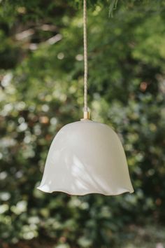 a white light hanging from a tree branch