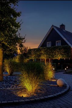 an outdoor area with lights and plants on the side of it at night in front of a house