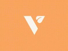 the letter v is white on an orange background