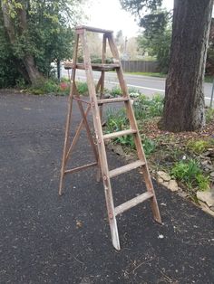 an old wooden ladder leaning against a tree