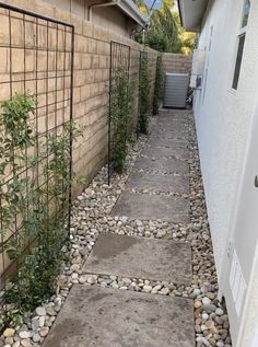 a stone path between two buildings with plants growing on the sides and in between them