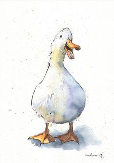 a watercolor painting of a duck standing on one leg and looking to the side