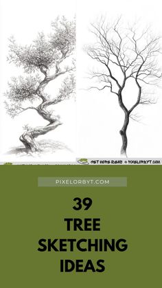 three different types of trees with the title 39 tree sketching ideas