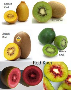 different types of kiwi fruit displayed on white background